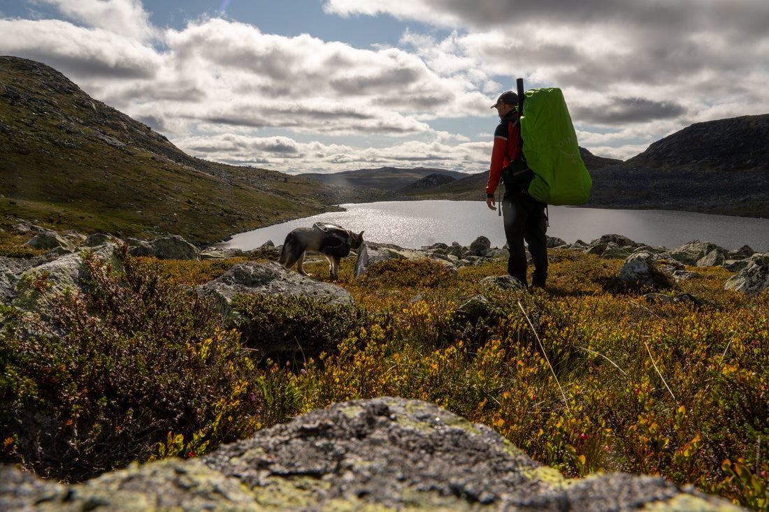Friluftsliv – lidenskap, Østmarka og nye eventyr rundt Hamar