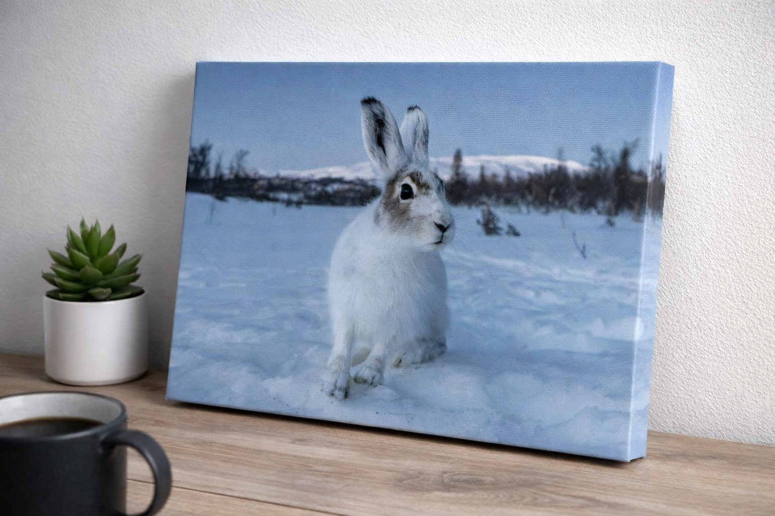 Fotolerret med vinterhare i norsk snølandskap – et stemningsfullt naturmotiv som gir nordisk ro til hjemmet.