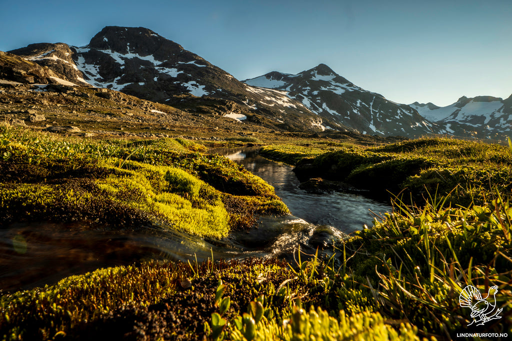 Jotunheimen – Stehøe og Stetinden | Veggbilde & Naturfoto