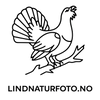 Lind Naturfoto – Startside