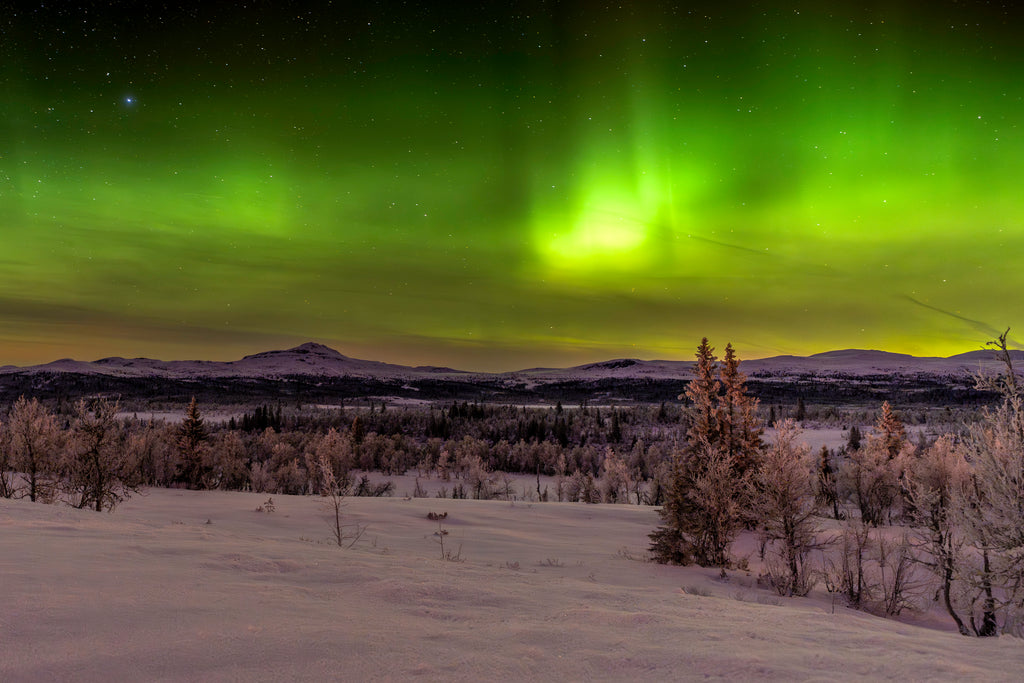 Nordlys over Langsua - Veggbilde& Naturfoto