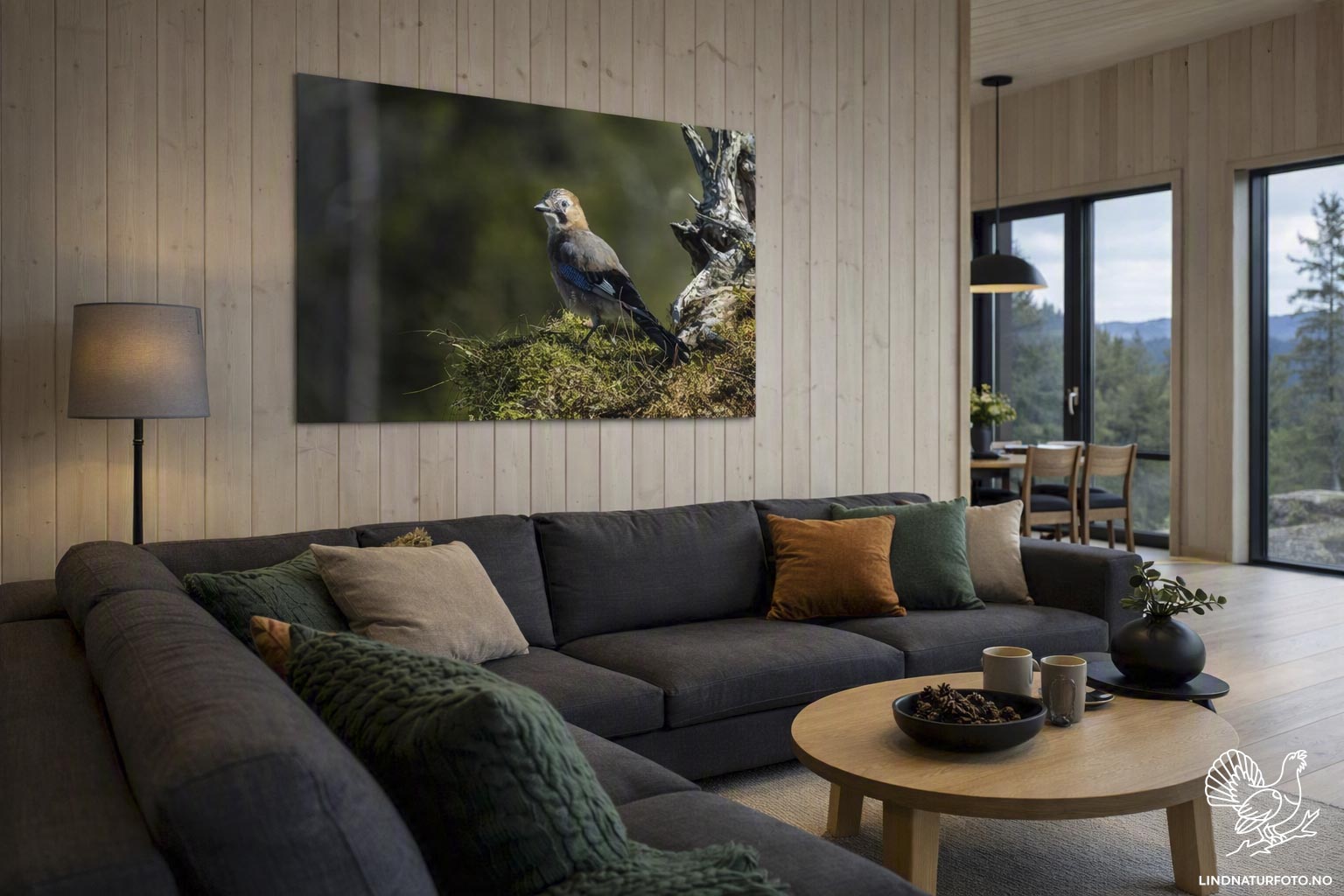 Nøtteskrike – Veggbilde & Naturfoto fra norsk skog