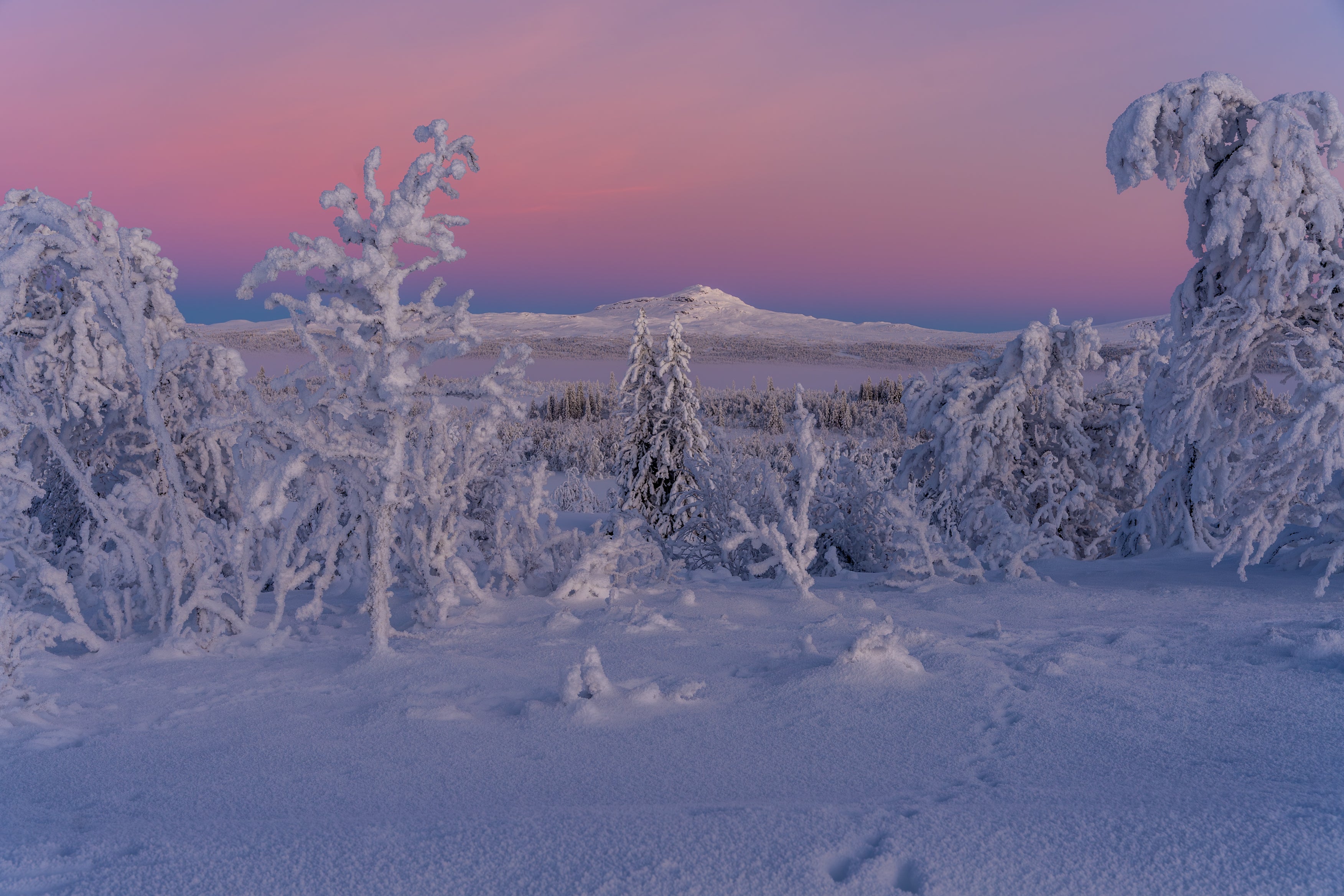 Vinterlandskap i blå time, norsk natur – naturfotografi begrenset opplag | Friluftsperspektiv