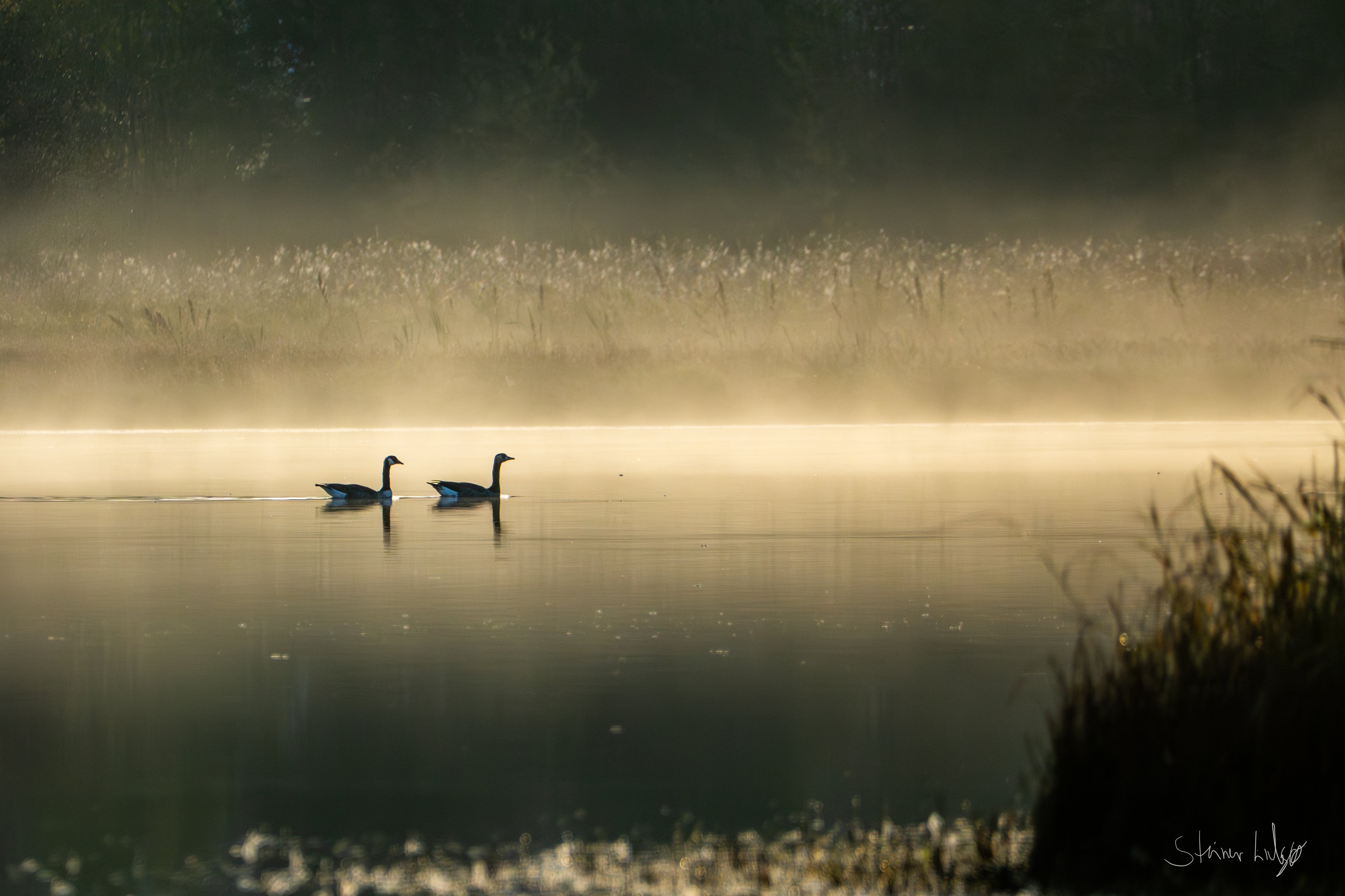 Stemningsfull vannkant i norsk natur – naturfotografi begrenset opplag | Friluftsperspektiv