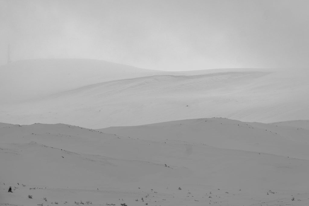 Sorthvitt naturfoto av snødekt vinterlandskap med myke åser og tåkelagt stemning