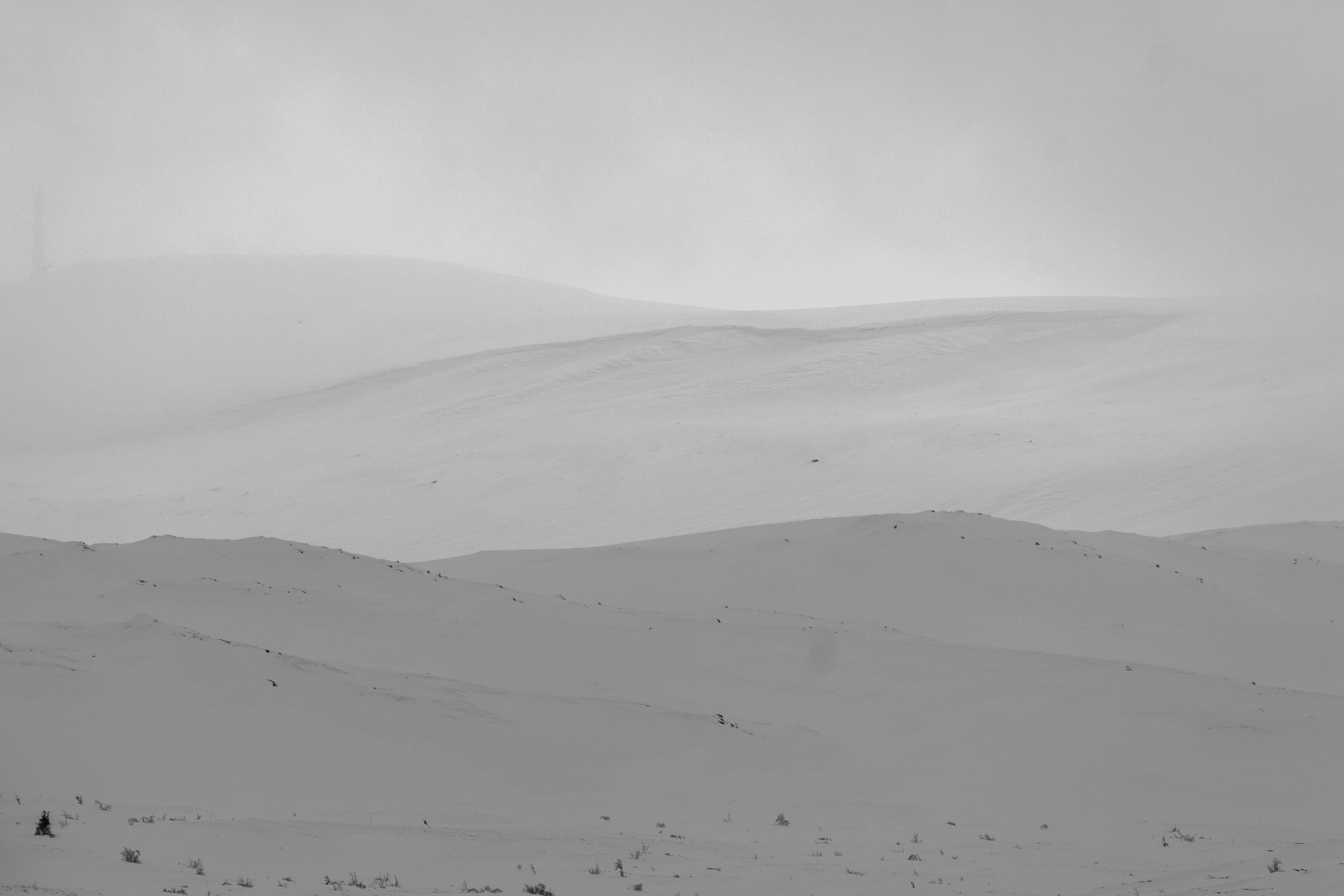 Sorthvitt naturfoto av snødekt vinterlandskap med myke åser og tåkelagt stemning