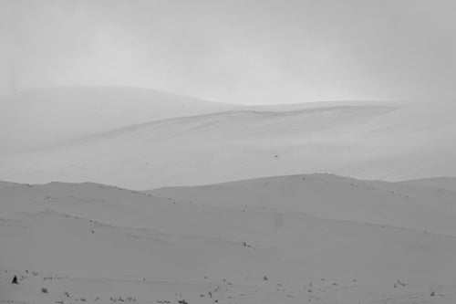 Sorthvitt naturfoto av snødekt vinterlandskap med myke åser og tåkelagt stemning