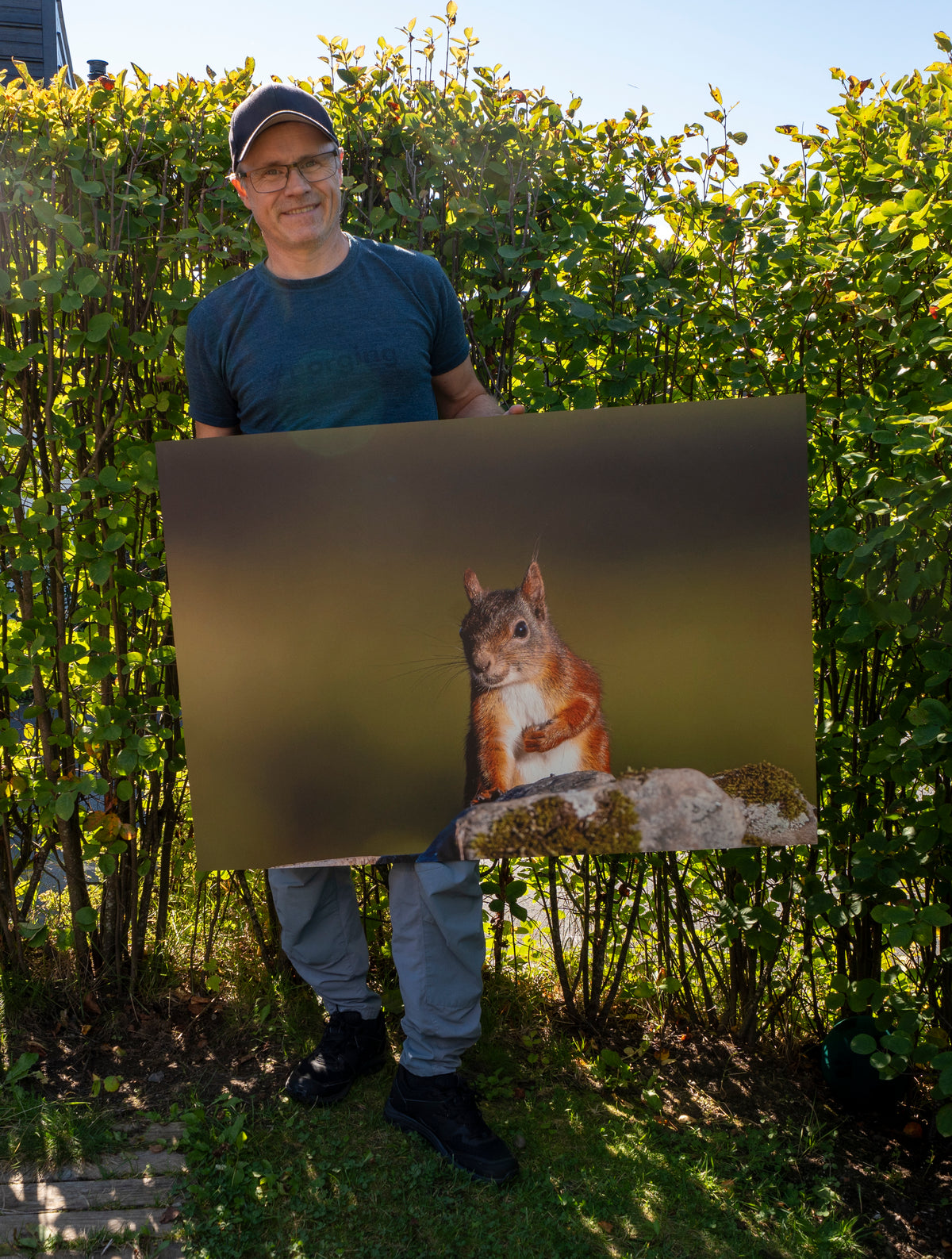 Ekorn portrett